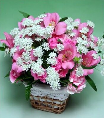 ピンク、ホワイトの可愛いお花 【4月の誕生花　アルスロメリア】レースフラワーのアレンジメント
