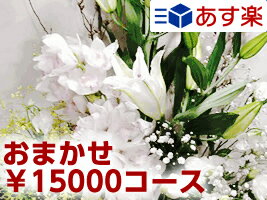 おまかせ15，000円コース(写真はイメージです)即日発送可【あす楽対応_関東】【あす楽対応_甲信越】【あす楽対応_北陸】【あす楽対応_東海】【あす楽対応_近畿】【あす楽対応_中国】【あす楽対応_四国】【あす楽対応_九州】