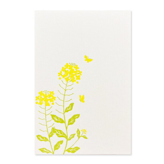 箔押し はがき 菜の花 (1枚入り) ROKKAKU フタバ 春 植物 花 イラスト デザイン かわいい 可愛い おしゃれ メッセージ 日本製 和 和色 光沢感...