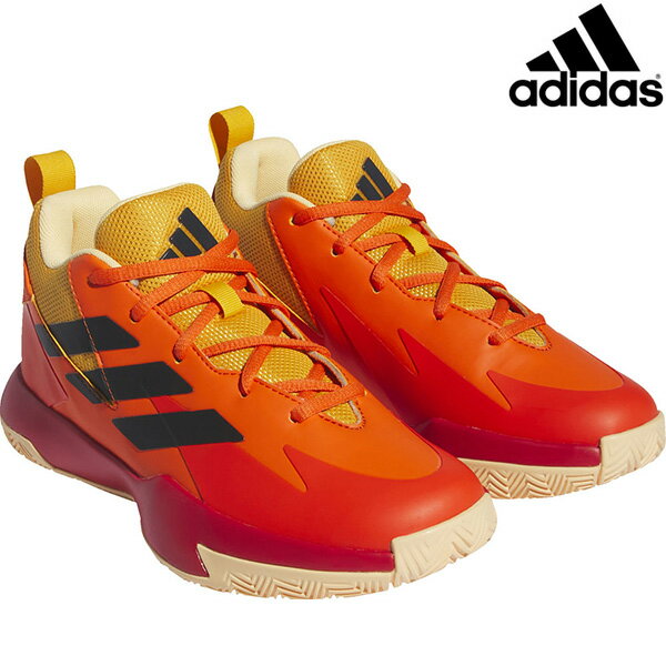 AfB_X adidas ~joX oXPbg{[V[Y CrossfEm Up ZNgChV[Y IE9253 q IW