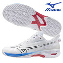 ミズノ MIZUNO テニス シューズ ウエーブエクシード5 OC ユニセックス クレー 砂入り人工芝コート 61GB2312 13
