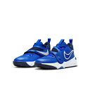 ナイキ NIKE ジュニア バスケットボール ミニバス シューズ TEAM HUSTLE D 11GS ナイキ チーム ハッスル D 11 GS DV8996-...