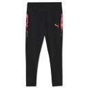 【送料無料】 プーマ PUMA ジュニア INDIVIDUALCUP トレーニング パンツ 660187 サッカー フットサル ジャージ ロングパンツ 練習着 ...