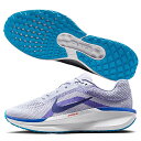 NIKE ナイキ メンズ ロード ランニングシューズ AIR WINFLO 11 ウィンフロー 11 FJ9509-006