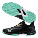 ミズノ MIZUNO テニスシューズ メンズ レディース ユニセックス ウエーブエクシード 6 WIDE OC クレー 砂入り人工芝コート 61GB2513-0...