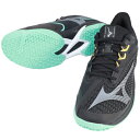 ミズノ MIZUNO テニスシューズ メンズ レディース ユニセックス ウエーブエクシード 6 WIDE OC クレー 砂入り人工芝コート 61GB2513-0...