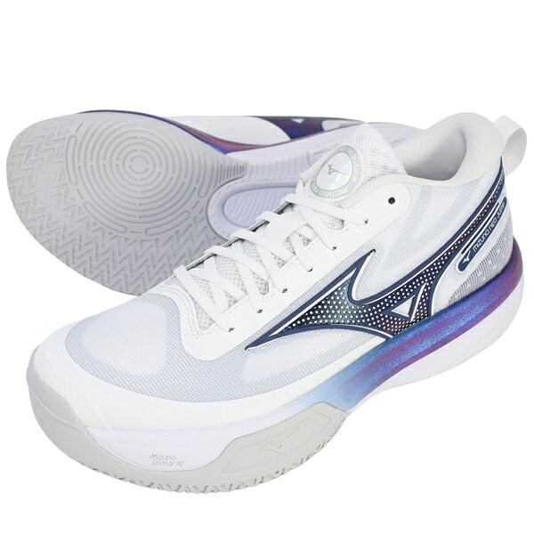 ミズノ MIZUNO メンズ レディース バレーボールシューズ