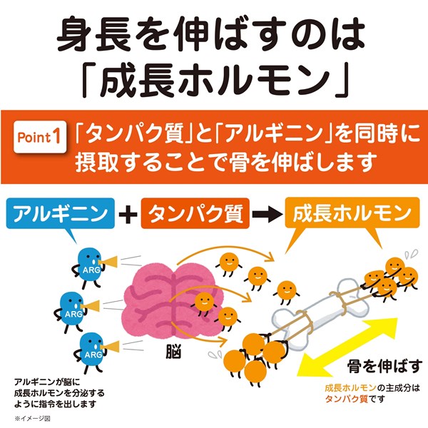 ノビタプロテインNOBITAソイプロテイン600gFD0002寝る前に飲むサプリメントジュニア子供小中高生向けスパッツィオspazio