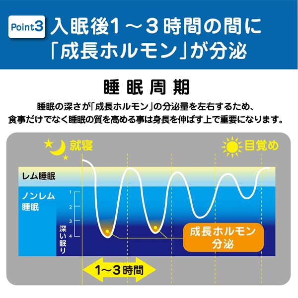 ノビタプロテインNOBITAソイプロテイン600gFD0002寝る前に飲むサプリメントジュニア子供小中高生向けスパッツィオspazio