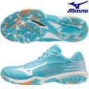 バドミントン シューズ ウエーブクロー 2 FIT ミズノ MIZUNO 2E相当 71GA211711