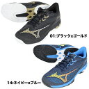 ミズノ MIZUNO テニスシューズ ウェーブイクシードライト2ワイド オムニ クレー 砂入り人工芝コート 61GB2318 ユニセックス メンズ レディース