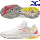 ミズノ MIZUNO バドミントン シューズ ウエーブファング 2 FIT WAVE FANG 2 FIT 71GA2312-22