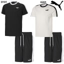 プーマ PUMA メンズ Tシャツ ハーフパンツ セット 半袖 CORE HERITAGE トレーニングウェア 674920 674923