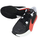ナイキ NIKE メンズ バスケットシューズ バッシュ ズーム フリーク 5 EP DX4996-004