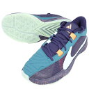 ナイキ NIKE ズーム フリーク5 EP メンズ レディース バスケットボールシューズ バッシュ DX4996-300