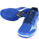 ミズノ MIZUNO バドミントン シューズ ウエーブクロー 3 FIT 2E 71GA2442-01