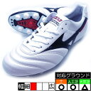 プーマ ウルトラ アルティメット CAGE 大人用 サッカートレーニングシューズ puma 107502-04