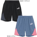 【ネコポス送料無料】プーマ PUMA INDIVIDUAL RETRO TR ショーツ 658828 サッカー フットサル プラクティスパンツ ハーフパンツ 練習着 メンズ