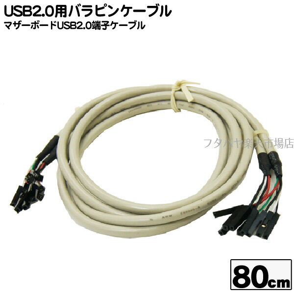 USB2.0用バラピンケーブル マザーボード上のUSB2.0端子からフロントパネルUSB端子までのケーブル COMON (カモン) USB-08 バラピン(メス)-バラピン(メス) ケーブル長80cm ROHS対応