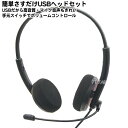 高音質・高音声USBヘッドセットスカイプやネット会議・ZOOM・ボイスチャットなどに便利●ボリュームコントロール●マイクOFF機能付き●フレキシブルアームでマイ...