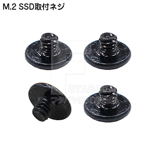 M.2 SSD固定用ミリネジ ●M2 2mmミリネジ ●出っ張りが少ない超低頭タイプ ●4個入り アイネックス(AINEX) PB-044-BK