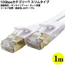 カテゴリー710Gbps スリムLANケーブル1m 10GBase/T対応 ●長さ:約1m ●カテゴリー7 ●10ギガビット対応 ●ストレート結線 ●色：ホワイト ●撚線 ●COMON 7SM-01