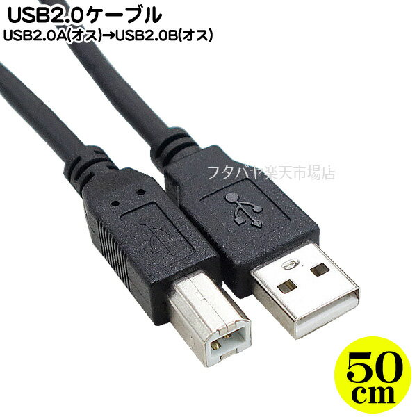 USBケーブル50cm ●USB2.0Aタイプ(オス) ●USB2.0Bタイプ(オス) プリンター接続 ●電源供給 ●USB2.0ハイスピード転送 ●色：ブラック ●長さ:約50cm ●RoHS対応 COMON 2AB-05