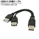 ⏕d[qtUSBP[u USB2.0(IX)USB2.0(X)+USBdpP[u ϊl USBA/2 Е͏[dpƂȂ܂B