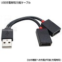 USB A[q 2zP[u 10cm USB2.0 A^Cv(IX)-USB2.0 A^Cv(X)x2 d͋pP[u 5v2A͈̔͂Ŏgp\ ϊl VL-A10/P