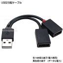 USB A[q 2zP[u 10cm USB2.0 A^Cv(IX)-USB2.0 A^Cv(X)x2 f[^]x1 d͋px1 5v2A͈̔͂Ŏgp\ ϊl VL-B10/P