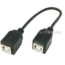 USB2.0B^CvP[u USB2.0B^Cv(X)-USB2.0B^Cv(X) ϊl USBBB-BB20 [q:USB2.0B P[u:20cm USB2.0nCXs[h[hΉ RoHSΉ F: