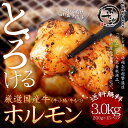 送料無料 厳選国産牛とろける「ホルモン」3kg 厳選国産牛小腸(牛もつ/牛モツ) トロける極上の脂 焼肉・バーベキューに! もつ焼き ホルモン焼き 丸腸(マルチョウ)