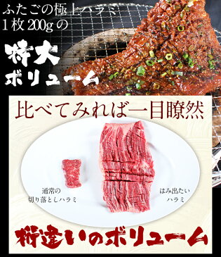 送料無料 ふたご名物はみ出たいハラミ 2kg！バーベキュー（BBQ）に！　焼肉　ホルモン　ハラミ2kg