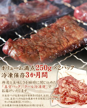 今だけ！「やめられない塩」特典付き！ふたごの厳選牛ハラミ 250g×2パック（合計500g） 秘伝のたれ・塩付き　焼肉 セット お取り寄せ　バーベキュー