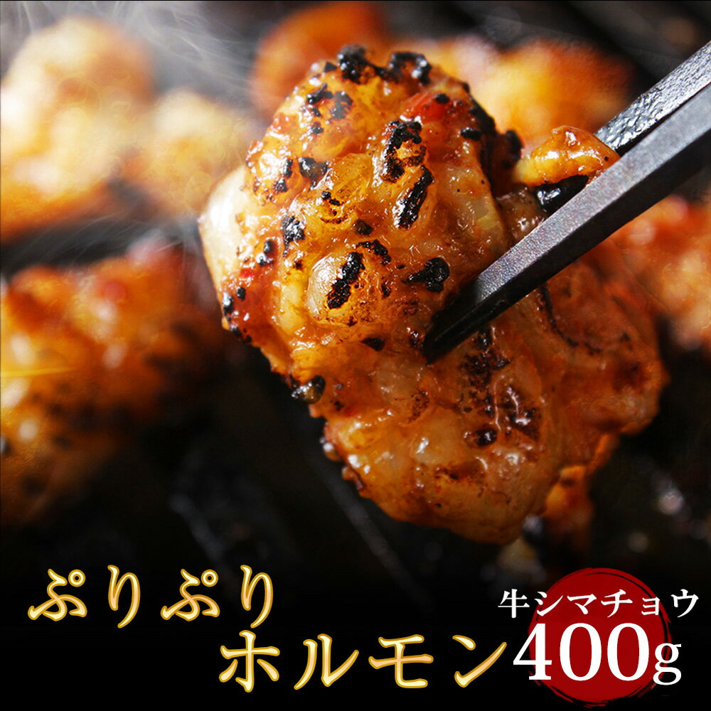 大阪焼肉・ホルモン ふたご 焼き肉 商品リニューアル 厳選牛 ぷりぷり ホルモン 400g(200g×2) 厳選 牛シマ腸 3個以上購入で送料無料 焼肉・バーベキュー(BBQ)に！ もつ焼き・ホルモン焼きに！