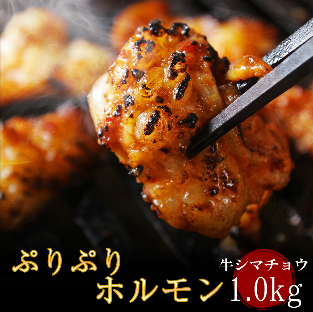 大阪焼肉・ホルモン ふたご 焼き肉 送料無料 商品リニューアル 厳選牛 ぷりぷり ホルモン 大盛セット1kg(200g×5パック) 厳選牛シマ腸 焼肉・バーベキュー(BBQ)に！ もつ焼き・ホルモン焼き！