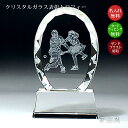 テニストロフィー クリスタル テニス 大会 男子テニス 女子テニス 賞品 景品 テニス 部 チーム 先生 コーチ 監督 キャプテン プレゼント 部活 引退 卒業 卒部 硬式テニス 軟式テニス 優勝 表彰 最優秀選手賞 監督賞 記念品 スポーツ ガラス 811-b