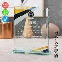 名入れ ガラス 表彰盾 表彰状 記念品 退職祝い 感謝状 認定証 社内表彰 取引先表彰 代理店表彰 コンペ コンクール 発表会 表彰 表彰楯 イベント 還暦祝い PS-2