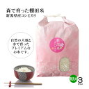 新米 令和6年産 新潟米コシヒカリ 無洗米 3キロ 新潟産こしひかり 森で育ったお米 棚田米 プレミアム米 新潟産 産地直送 お祝い、ギフト、贈答に ご自宅、ご...