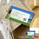 ポイントカード カードサイズ 写真入り 55×86 100枚 両面印刷 定番サイズ ショップカード メンバーズカード 会員証 シンプル おしゃれ