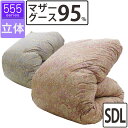 【555シリーズ】冬用 羽毛布団 マザーグース95% セミダブル 170×210 立体キルト 超長綿 80サテン ハンガリー産 マザー95 プレミアムゴールドラベル DP440以上 綿100% タキリビング 山梨 1.4kg 1.5kg 1.6kg 1.7kg 1.8kg 甲州羽毛 甲州産 日本製 いつきのふとん