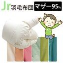 カバー付き!ジュニア用 羽毛布団 ポーランド産マザーグース95% 0.8kg 1.0kg 140×190cm シングルショート コンパクトサイズ ジュニアサイズ DP440以上 セミシングル ムレにくい ジュニア布団 子供部屋 キッズ 二段ベッド 子ども ジュニア用 冬 掛け布団 側生地 綿100%