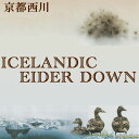 京都西川 アイダーダックダウン95％ アイスランド産 最高級羽毛肌布団 【高級シルクカバープレゼント】 シングルロング 高級超長綿 日本製 軽量 0.4kg 立体キルト 西川 肌布団 肌掛布団 ダウン95％