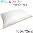 【西川】【送料無料】ダウン＆フェザー 2WAY Pillow 大きめサイズ ダウンピロー フェザーピロー 50×70cm 両面/使い分け/ふわふわ/ふかふか/まくら/枕/クッション/ホテル/ダウン/フェザー【京都西川】