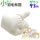 介護用サイズ 小さい 羽毛布団 イングランド産ダウン93% 0.8kg 1.0kg 140×190cm シングルショート コンパクト ショートサイズ DP370...