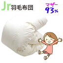 ジュニア用 羽毛布団 ポーランド産マザーグース93% 0.8kg 1.0kg 140×190cm シングルショート コンパクトサイズ ジュニアサイズ DP410...