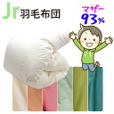 カバー付き!ジュニア用 羽毛布団 ポーランド産マザーグース93% 0.8kg 1.0kg 140×190cm シングルショート コンパクトサイズ ジュニアサイズ...