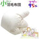 介護用サイズ 小さい 羽毛布団 ポーランド産マザーグース95% 0.8kg 1.0kg 140×190cm シングルショート コンパクト ショートサイズ DP4...