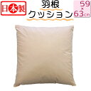 【送料無料】 日本製 フェザークッション スクエア59×63cm/サンモト/ヌードクッション/もっちリ/インテリア/角形/クッション/綿100%/四角/sale...