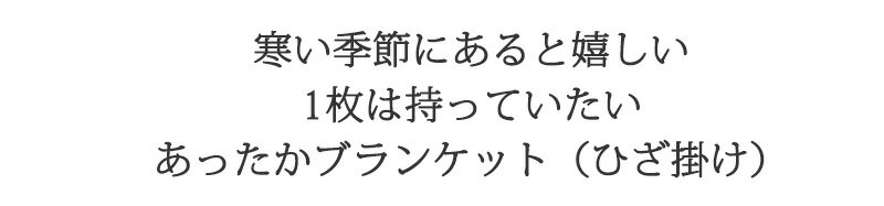 とってもECOな ブランケット 70×100cm マイクロファイバー 毛布 ひざ掛け ひざかけ ひざ掛け 毛布 ブランケット 膝掛け ひざかけ ひざ掛け 膝かけ